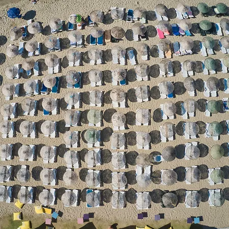 Ege Soley 3* Ayvalı